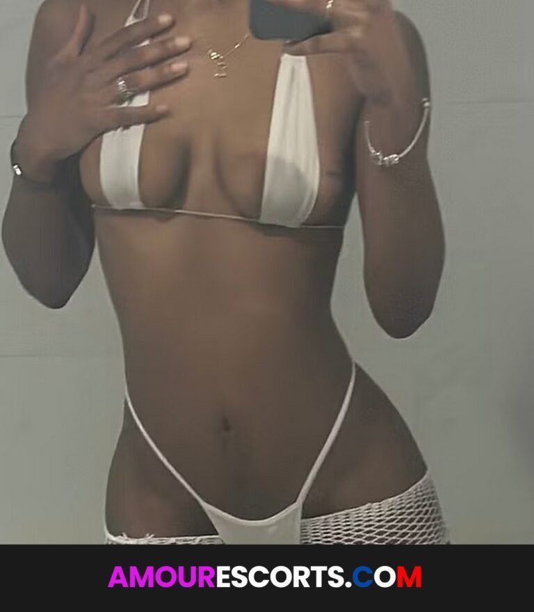 Taylor Maid
