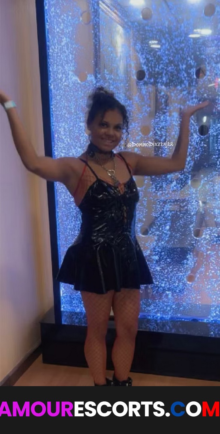Domino Dixzenjer